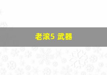 老滚5 武器